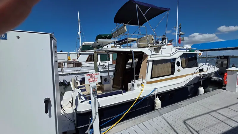 Dizzy Alice Yacht Photos Pics 