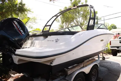 Sea Ray SPX 190 OB