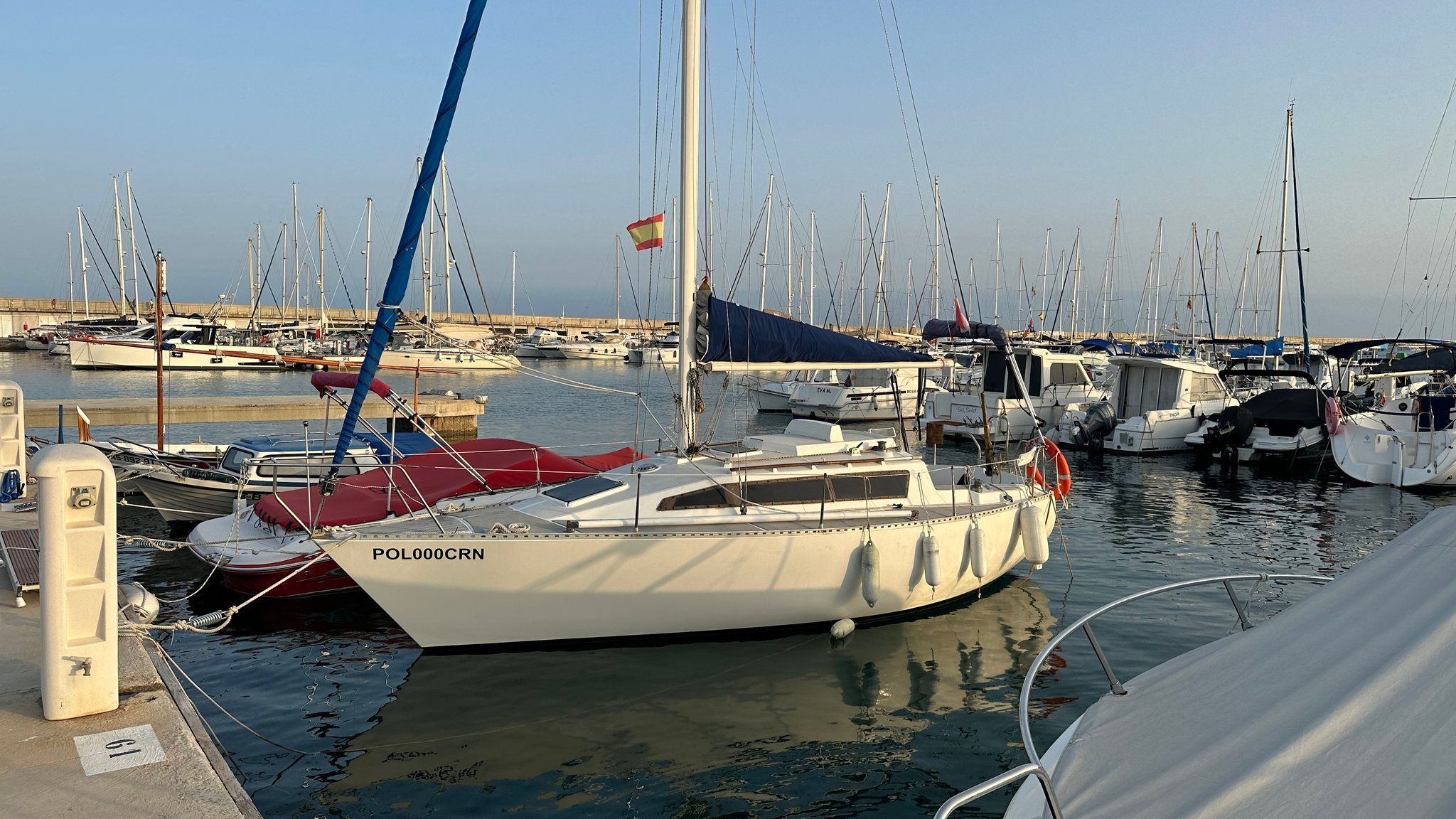 1980 Custom FURIA 25