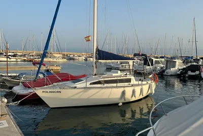 1980 Custom FURIA 25