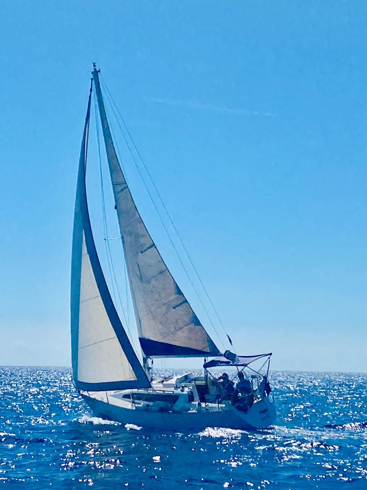 1980 Custom FURIA 25