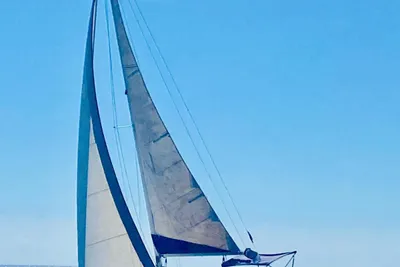 1980 Custom FURIA 25