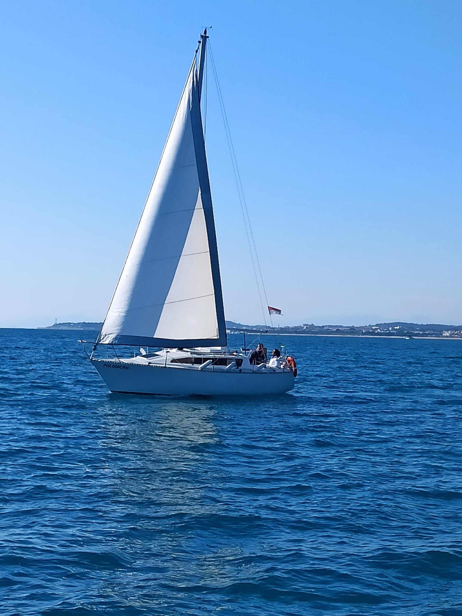 1980 Custom FURIA 25