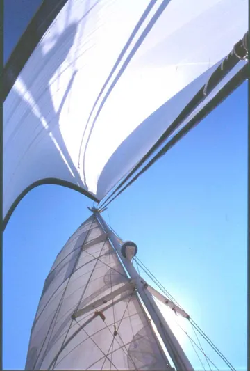 Conan Yacht Photos Pics Sailing on a 1988 Joubert Custom Trimaran with white sails against a clear blue sky.