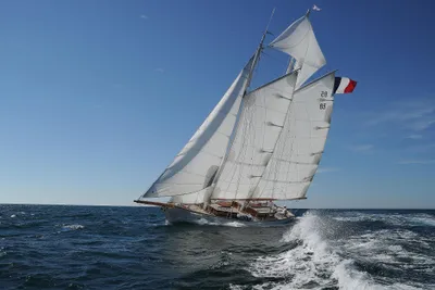 2014 Herley Goelette Aurique