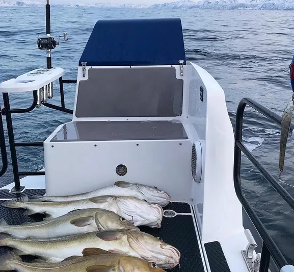  Yacht Photos Pics Hydrolift Patrol 42 Discover