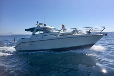 1994 Hardy Seawings 305