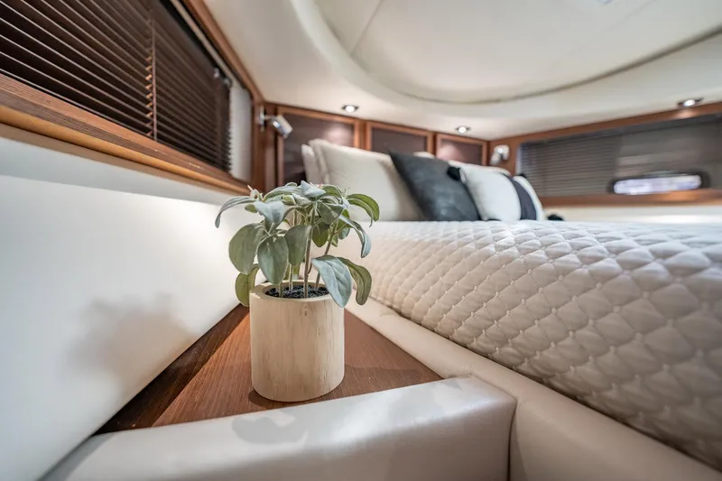 No Shoes Yacht Photos Pics Luxurious interior of 2013 Sea Ray 580 Sundancer yacht with elegant bedding and potted plant.