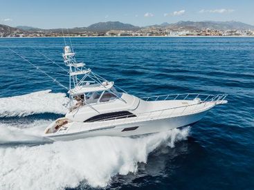 2013 64' Bertram-64 San Jose del Cabo, MX