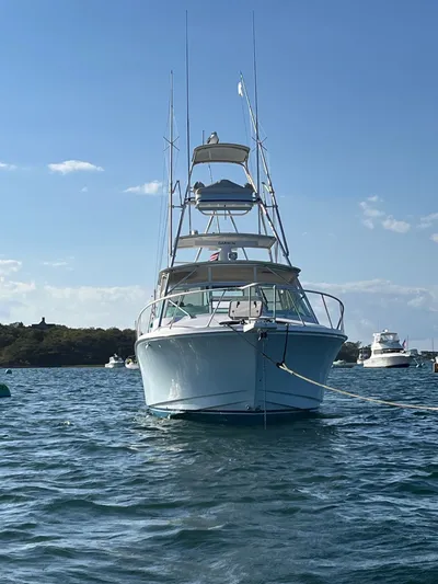 Legacy Yacht Photos Pics 