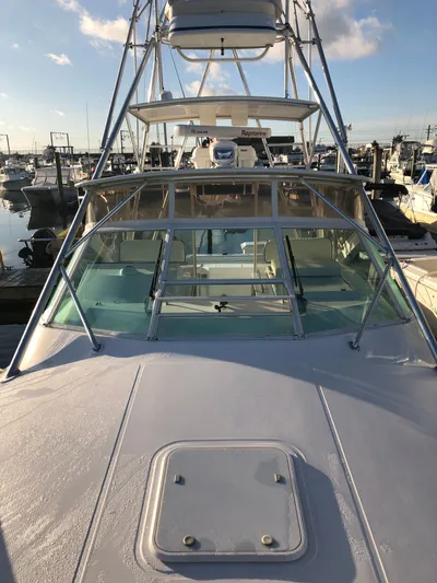 Legacy Yacht Photos Pics 