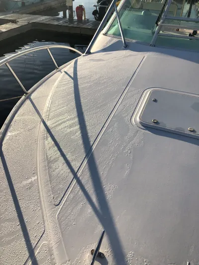 Legacy Yacht Photos Pics 