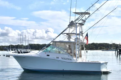 Cabo 31 Express