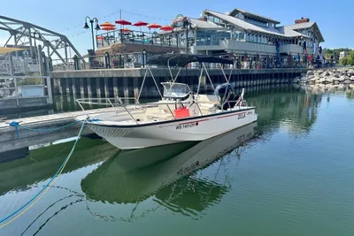 Boston Whaler 170 Montauk