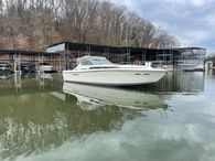 1989 Sea Ray 390 Express Cruiser