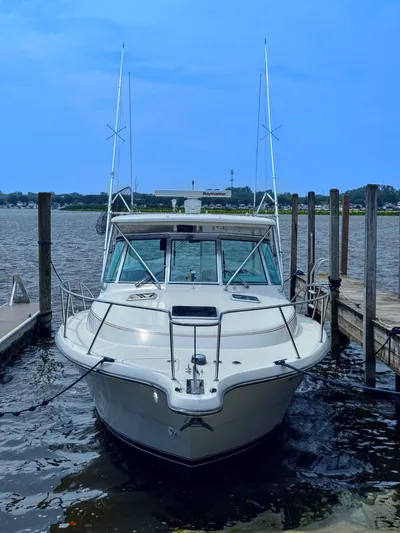 Heavy Yacht Photos Pics 