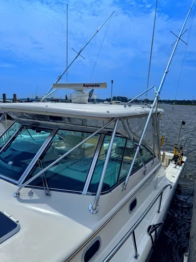 Heavy Yacht Photos Pics 