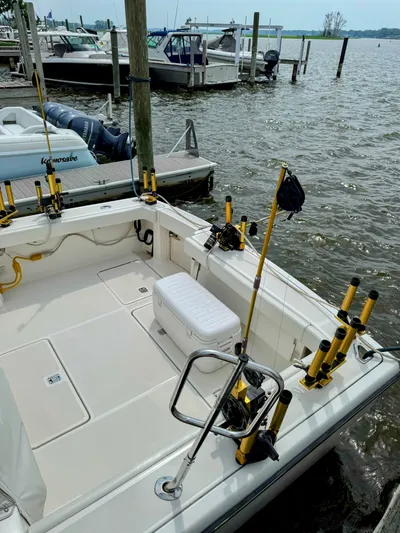 Heavy Yacht Photos Pics 