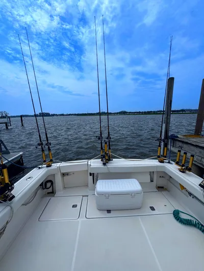 Heavy Yacht Photos Pics 