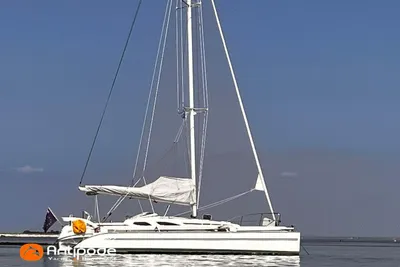 Dragonfly 35
