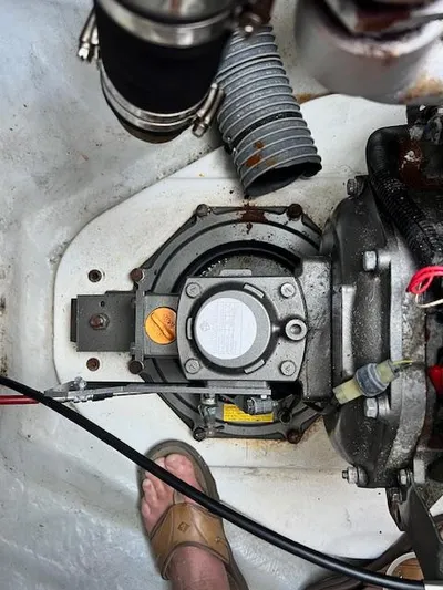 Common Blue Yacht Photos Pics 