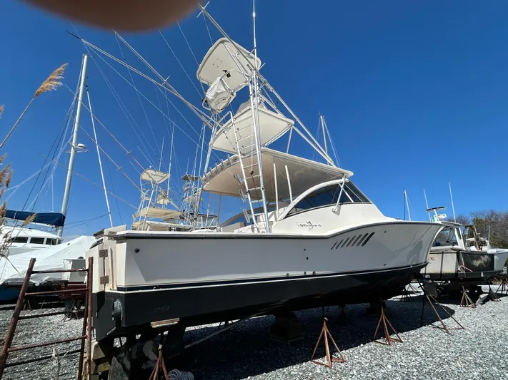 No Slack Yacht Photos Pics 