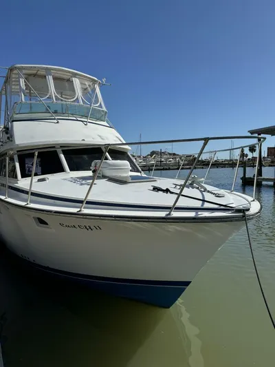 Cast Off II Yacht Photos Pics 