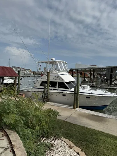 Cast Off II Yacht Photos Pics 