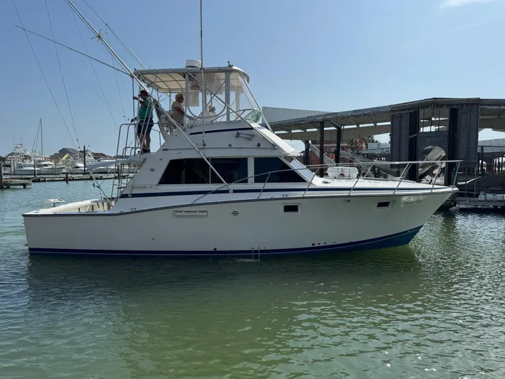 Cast Off II Yacht Photos Pics 