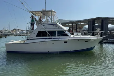 Bertram 385 Convertible