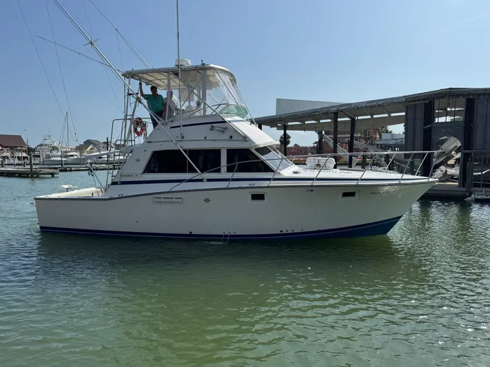 Cast Off II Yacht Photos Pics 