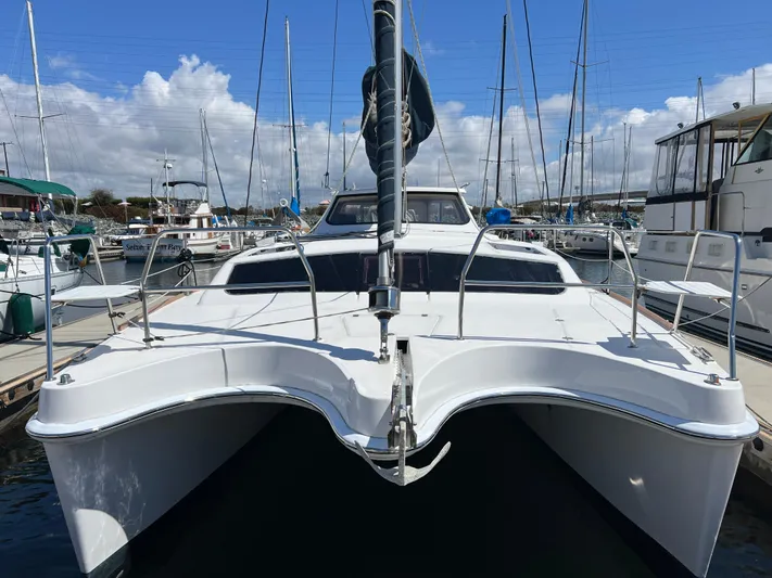 Cattitude Is Everything Yacht Photos Pics 