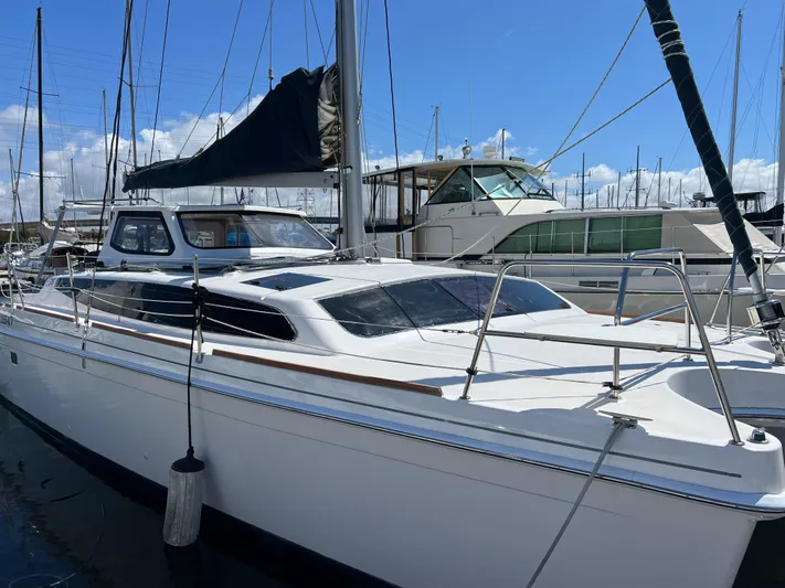 Cattitude Is Everything Yacht Photos Pics 