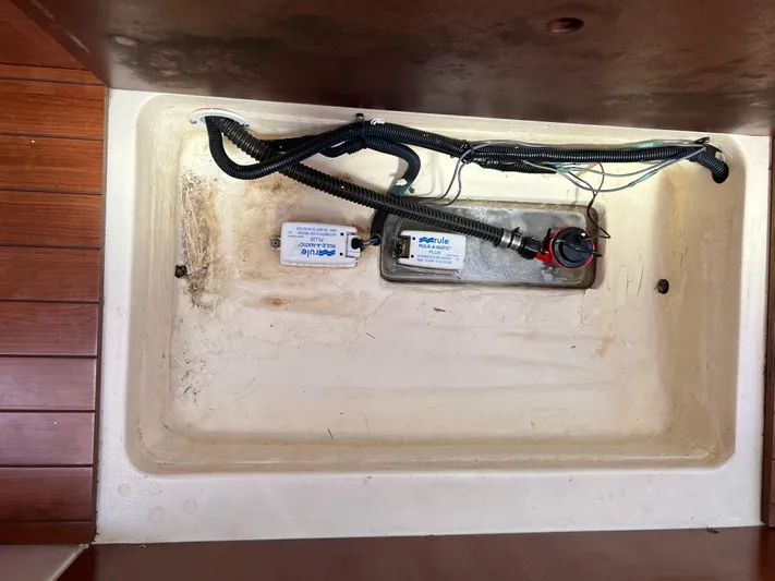 Cattitude Is Everything Yacht Photos Pics Bilge