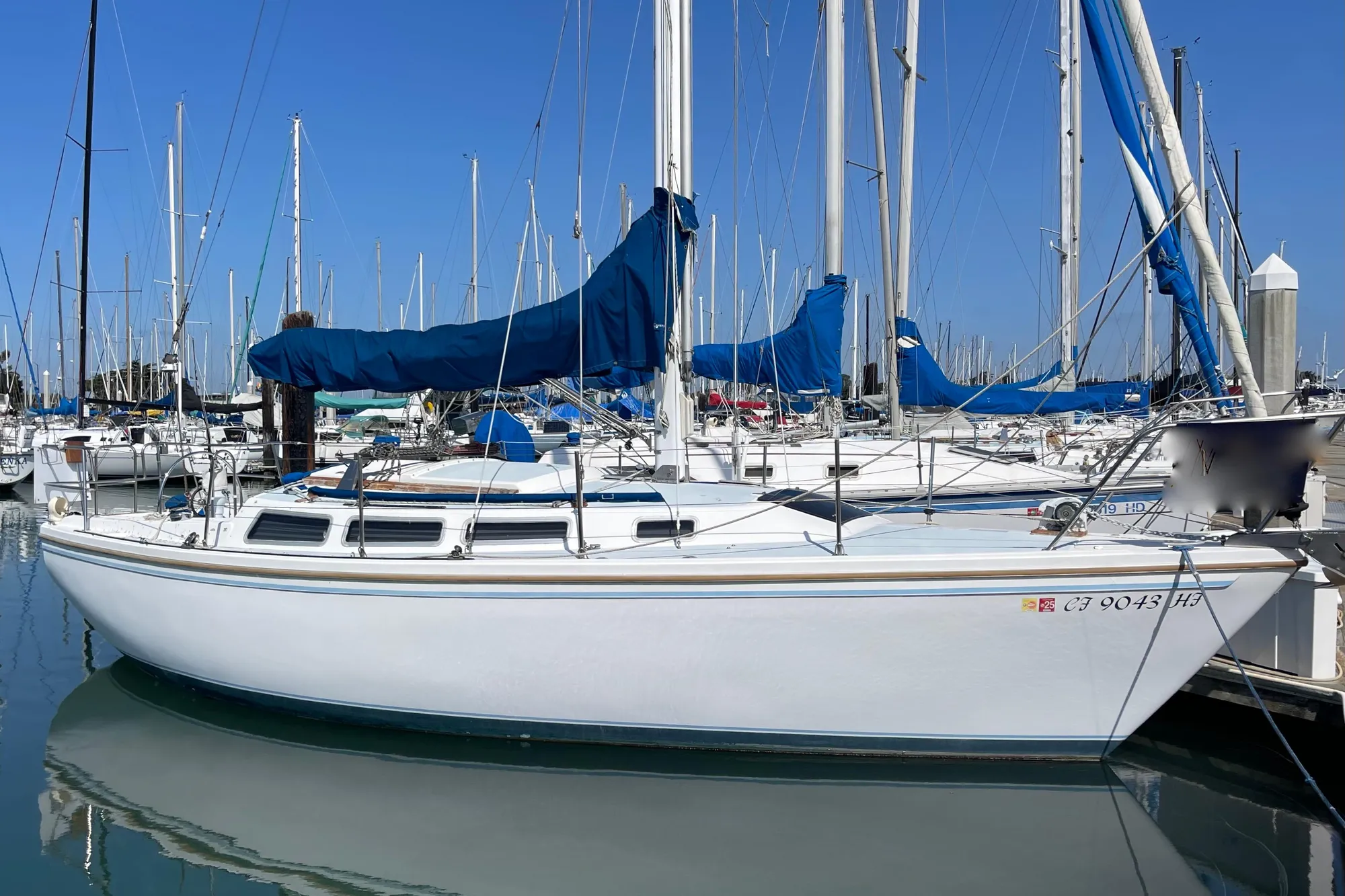 1984 Catalina 30 sailboat docked in a marina, surrounded by other boats.