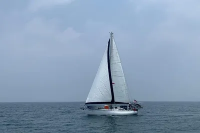 Sparkman & Stephens 44