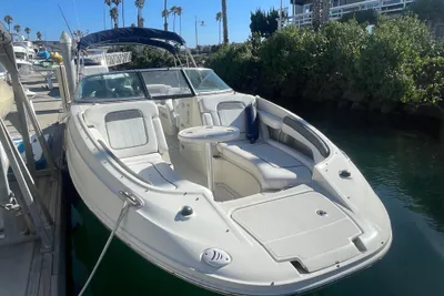 Sea Ray 260 Sundeck