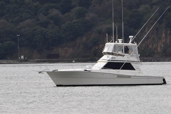 1989 Viking Convertible