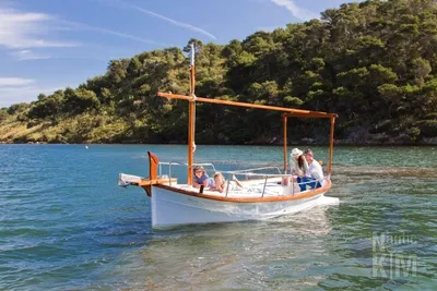 2023 Llaüts Tiburón 30 SOLARIUM ELECTRICO