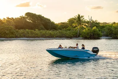 Bayliner Element M17