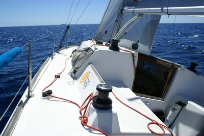 2011 Maree Haute DJANGO 770