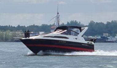 stan smith cloud white green