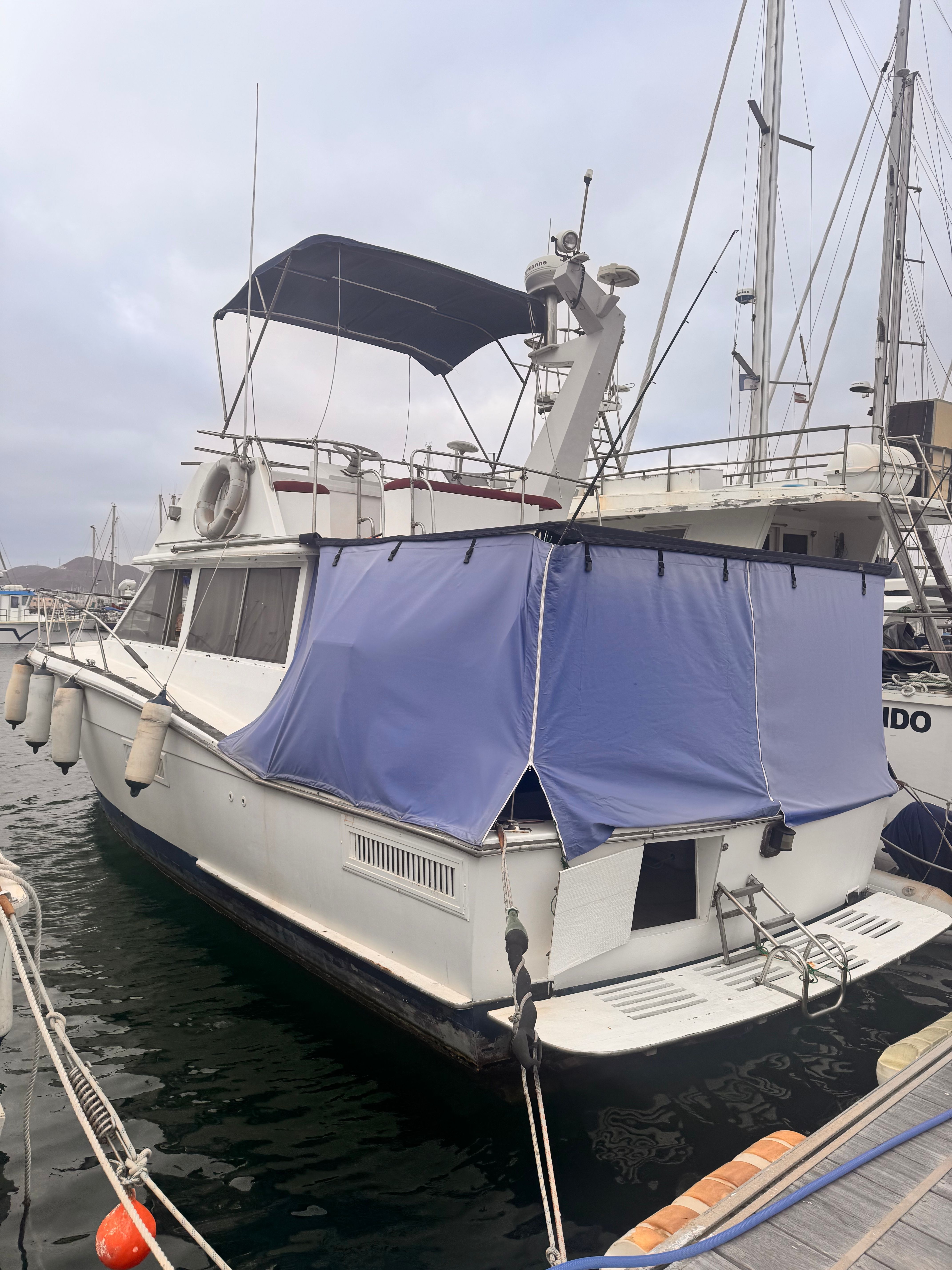 1973 American Trojan F36