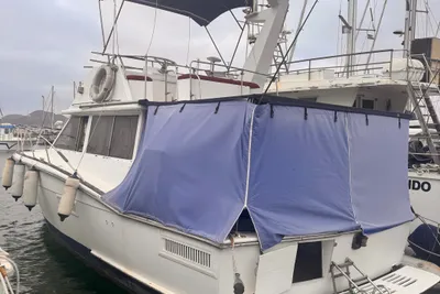 1973 American Trojan F36