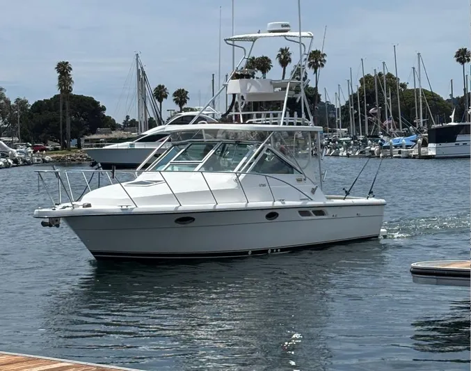 Marisol Yacht Photos Pics 2006 Tiara Yachts 2900 cruising in a marina with palm trees and sailboats.