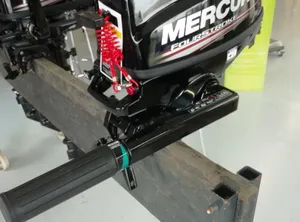 2024 Mercury F3.5 MH