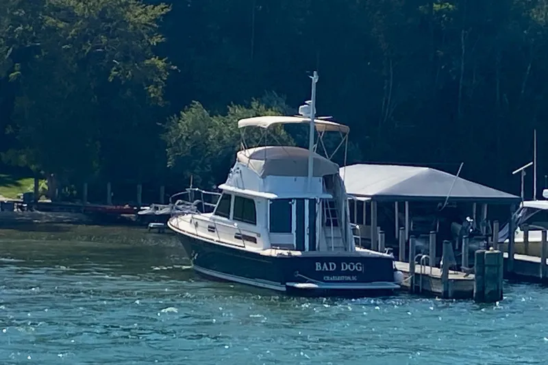 Bad Dog Yacht Photos Pics 2021 Sabre 42 Fly Bridge yacht named "Bad Dog" docked by the shore.