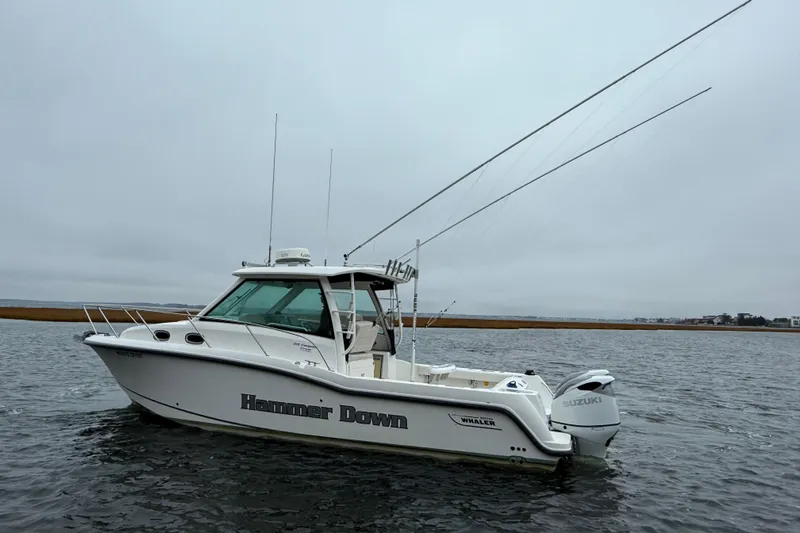 Hammer Down Yacht Photos Pics 2016 Boston Whaler 315 Conquest boat on water, overcast sky, fishing rods visible.