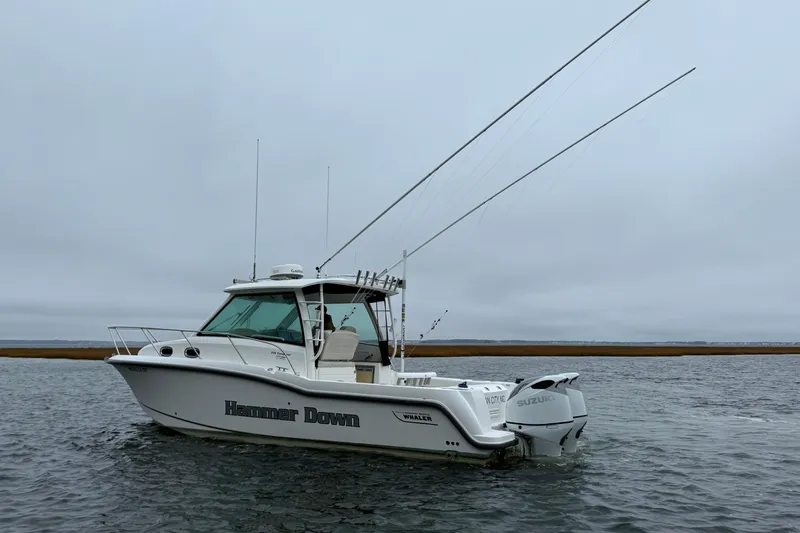 Hammer Down Yacht Photos Pics 2016 Boston Whaler 315 Conquest boat on water, overcast sky, fishing rods visible.