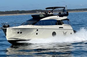 Monte Carlo MC5